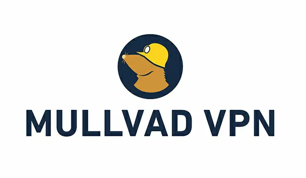 Mullvad VPN Review 2024: Is Mullvad VPN the Best Choice for Privacy?