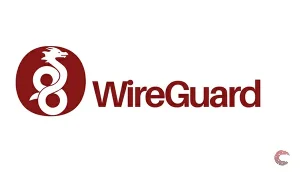 WireGuard VPN Reviews 2024: Is WireGuard safe?